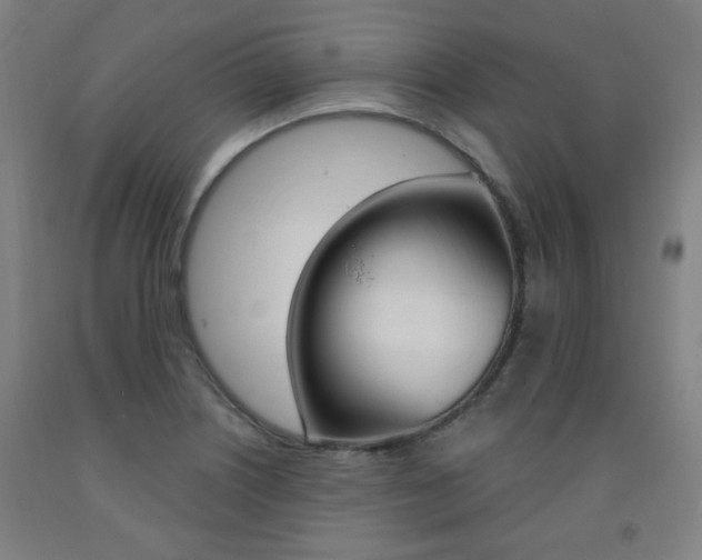 X0000093261226200709261611