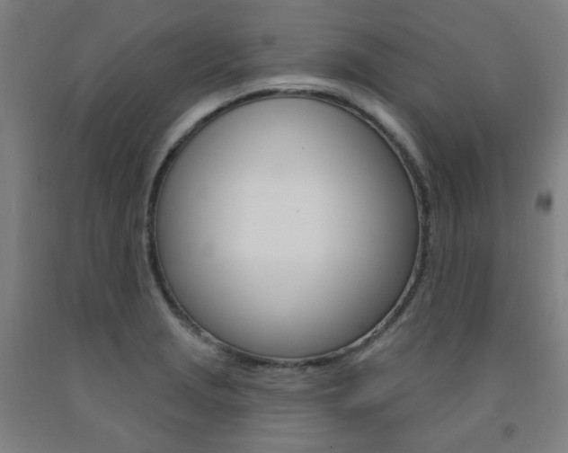 X0000093261229200709261611