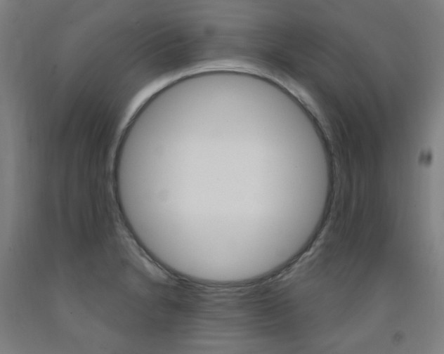 X0000093261230200709261611