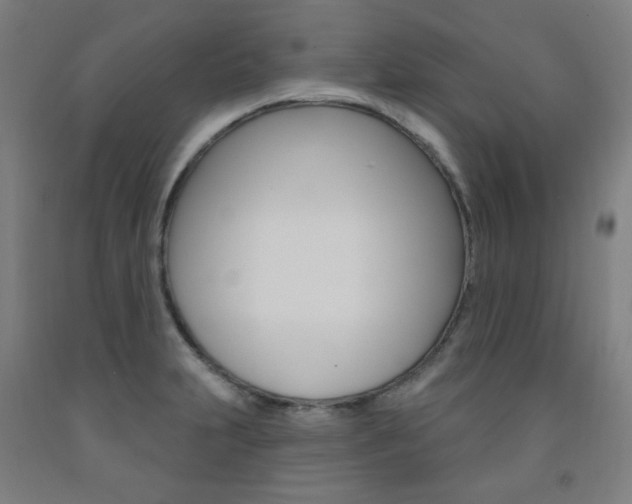 X0000093261231200709261611