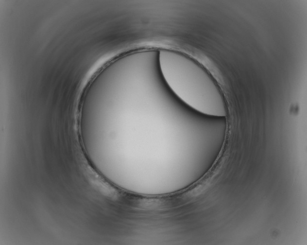 X0000093261232200709261611