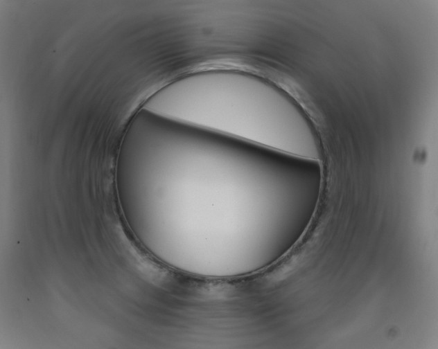 X0000093261233200709261611
