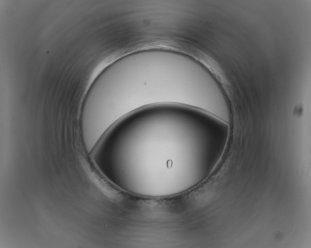 X0000093261234200709261611