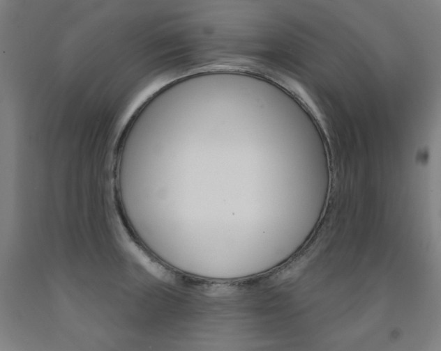 X0000093261235200709261611