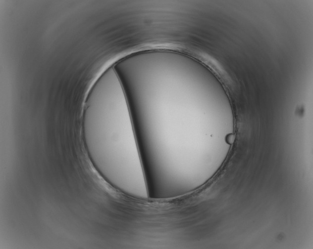 X0000093261236200709261611