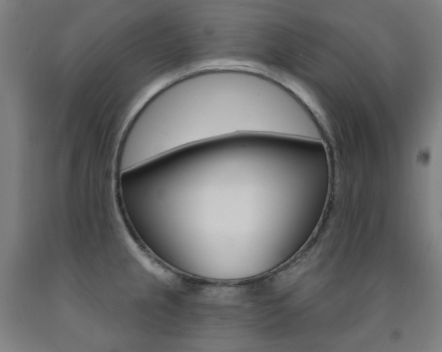 X0000093261237200709261611