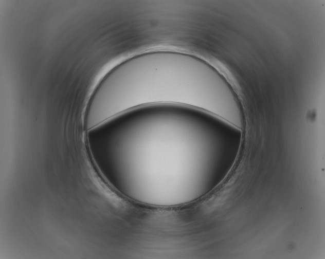 X0000093261238200709261611