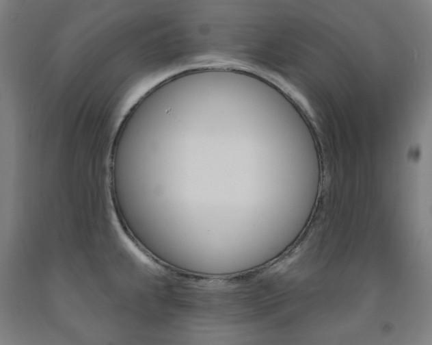 X0000093261239200709261611
