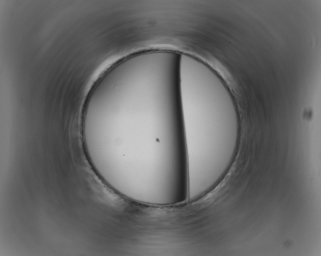 X0000093261240200709261611