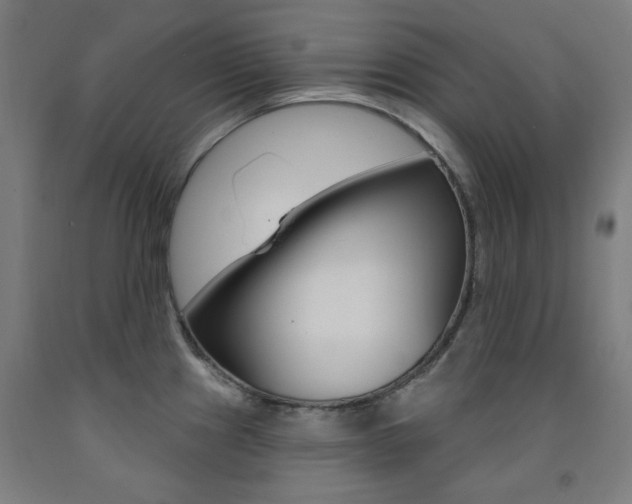 X0000093261241200709261611
