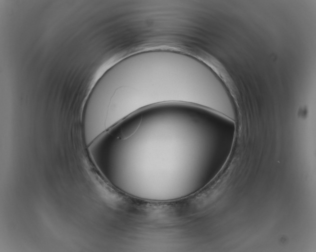 X0000093261242200709261611