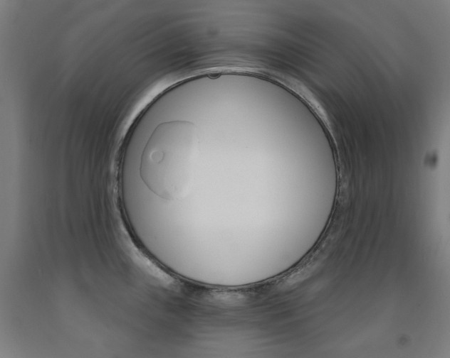 X0000093261243200709261611