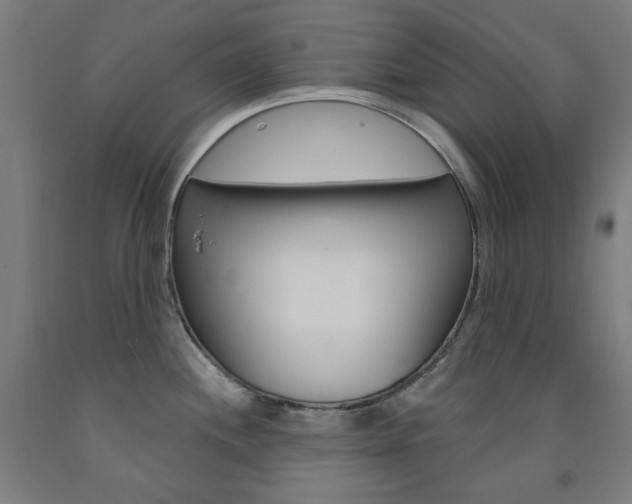 X0000093261244200709261611