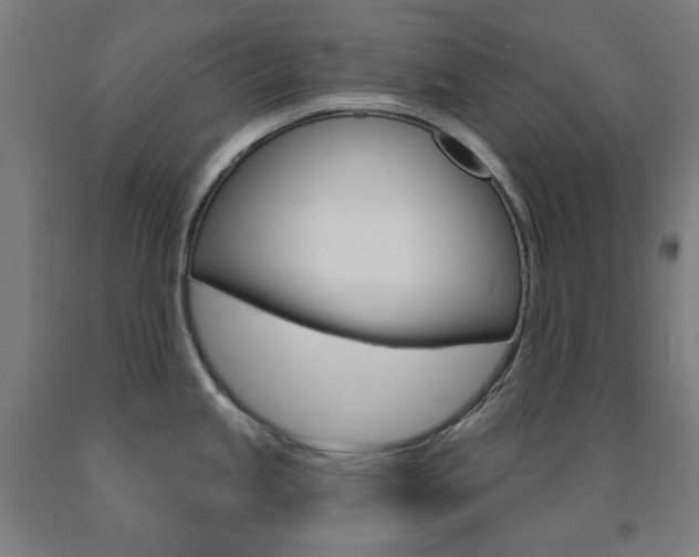 X0000093261245200709261611