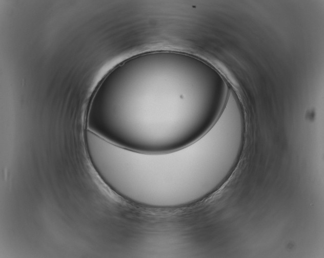 X0000093261246200709261611