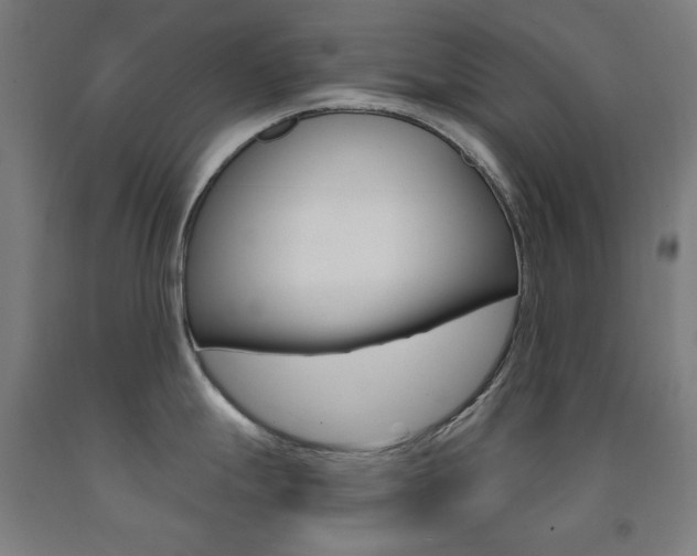 X0000093261247200709261611