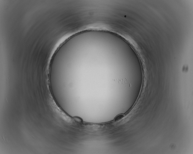 X0000093261248200709261611