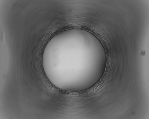 X0000093261249200709261611