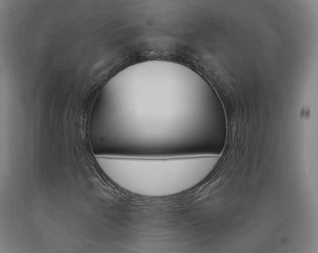 X0000093261250200709261611