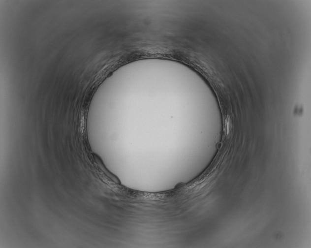 X0000093261251200709261610