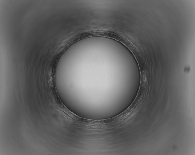 X0000093261252200709261610