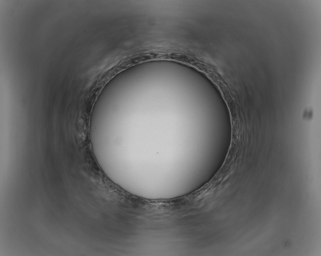 X0000093261253200709261610