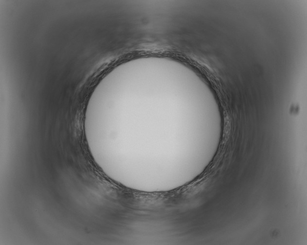 X0000093261254200709261610