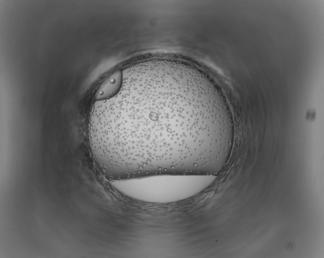 X0000093261255200709261610