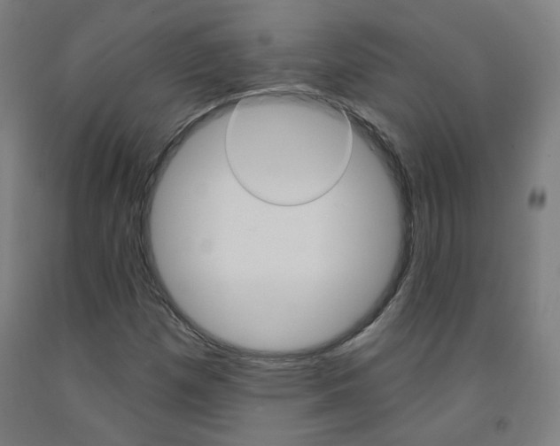 X0000093261257200709261610