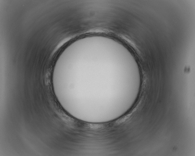 X0000093261258200709261610
