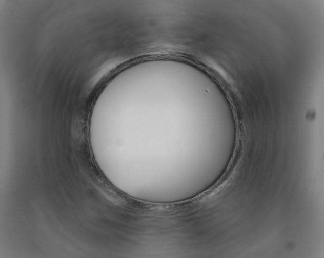 X0000093261259200709261610