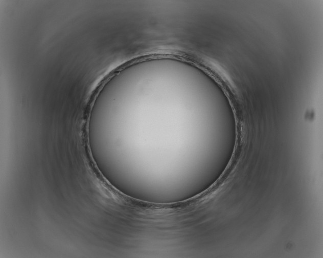 X0000093261260200709261610