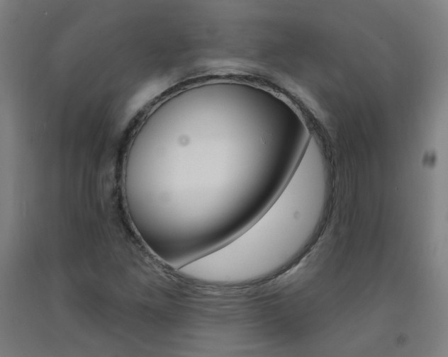 X0000093261261200709261610