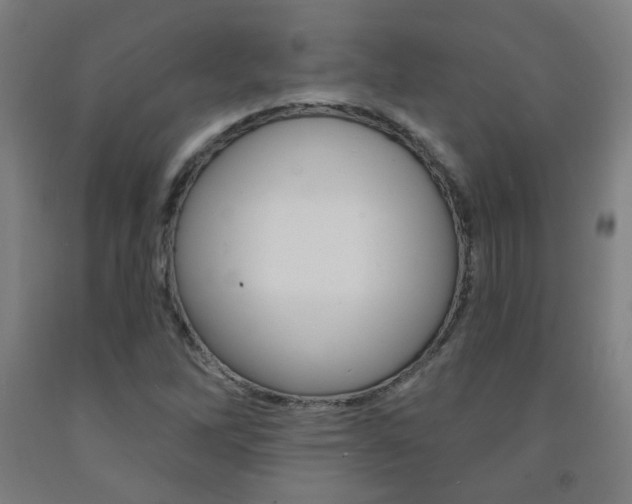 X0000093261262200709261610