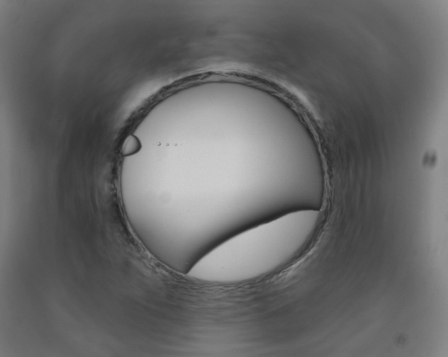 X0000093261263200709261610