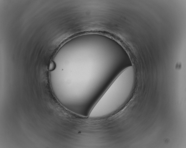 X0000093261265200709261610