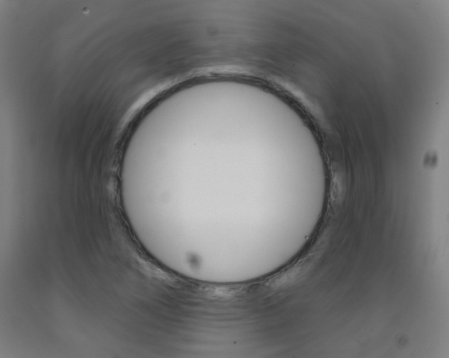 X0000093261266200709261610