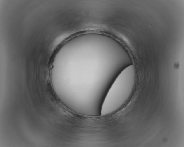 X0000093261267200709261610