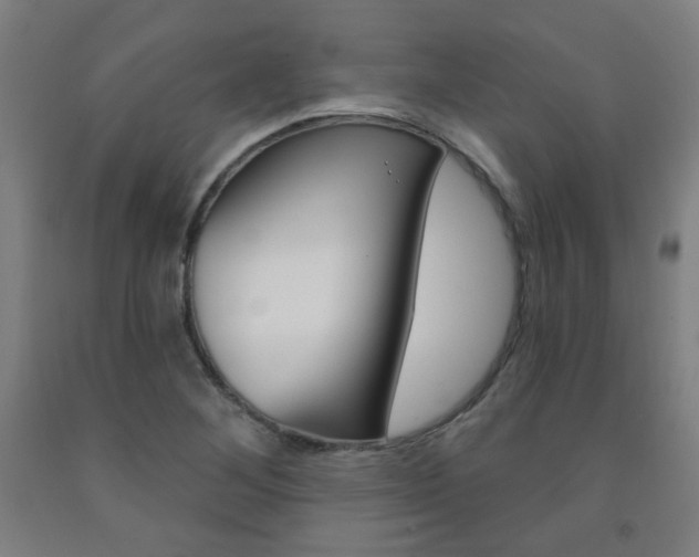 X0000093261268200709261610