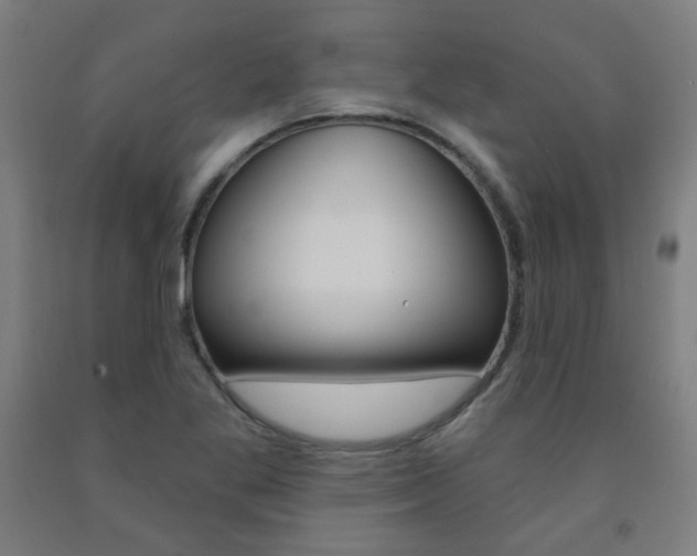 X0000093261269200709261610