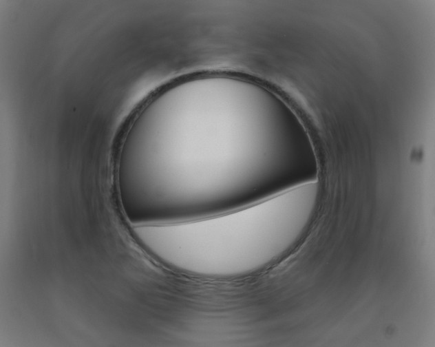 X0000093261270200709261610
