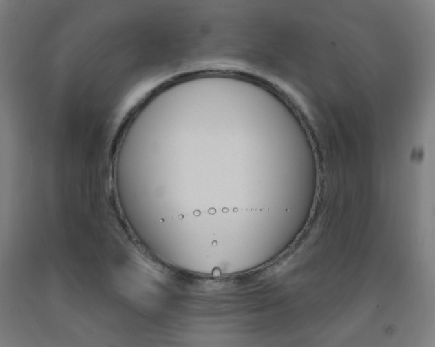 X0000093261271200709261610