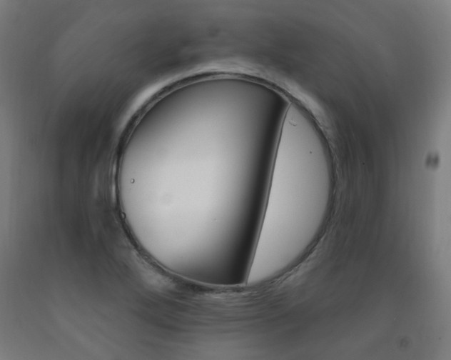 X0000093261272200709261610