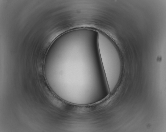 X0000093261273200709261610