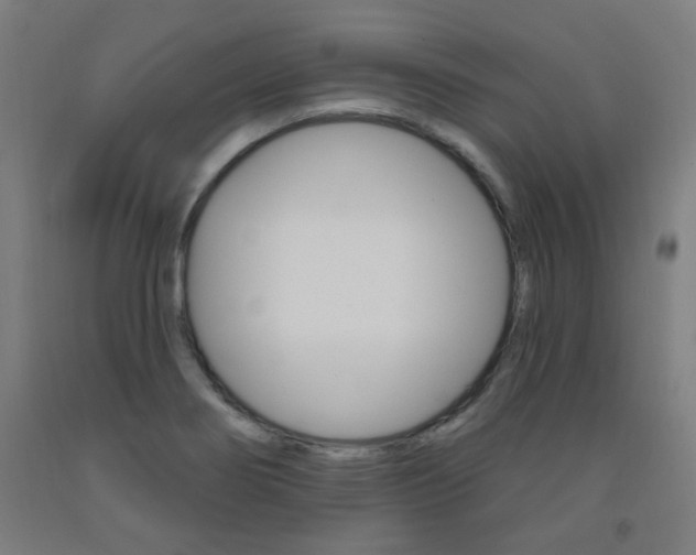 X0000093261274200709261610