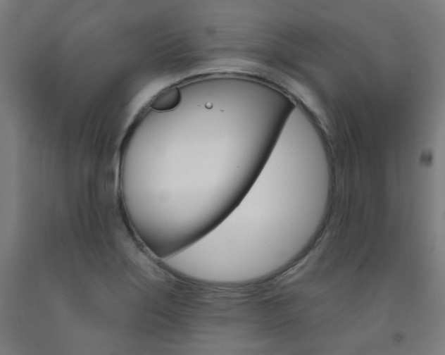 X0000093261275200709261610