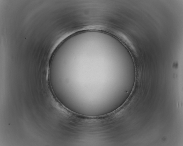 X0000093261276200709261610