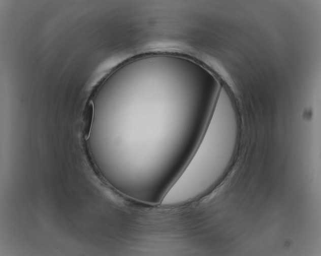 X0000093261277200709261610