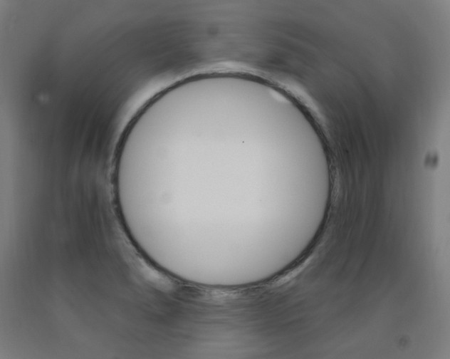 X0000093261278200709261610