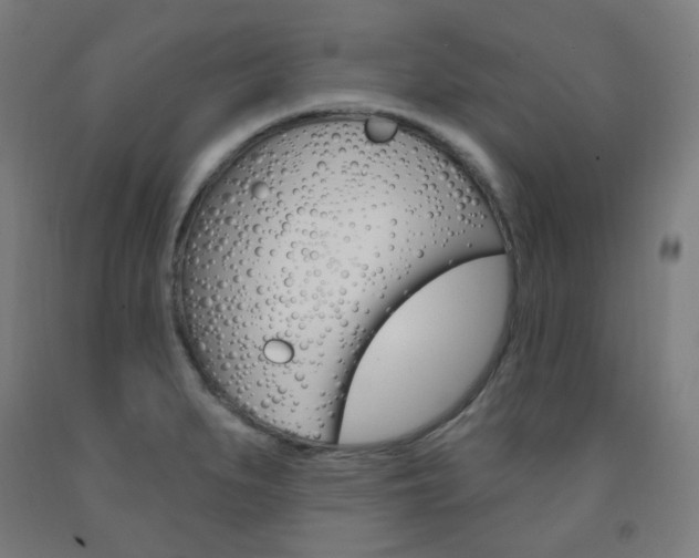 X0000093261279200709261610